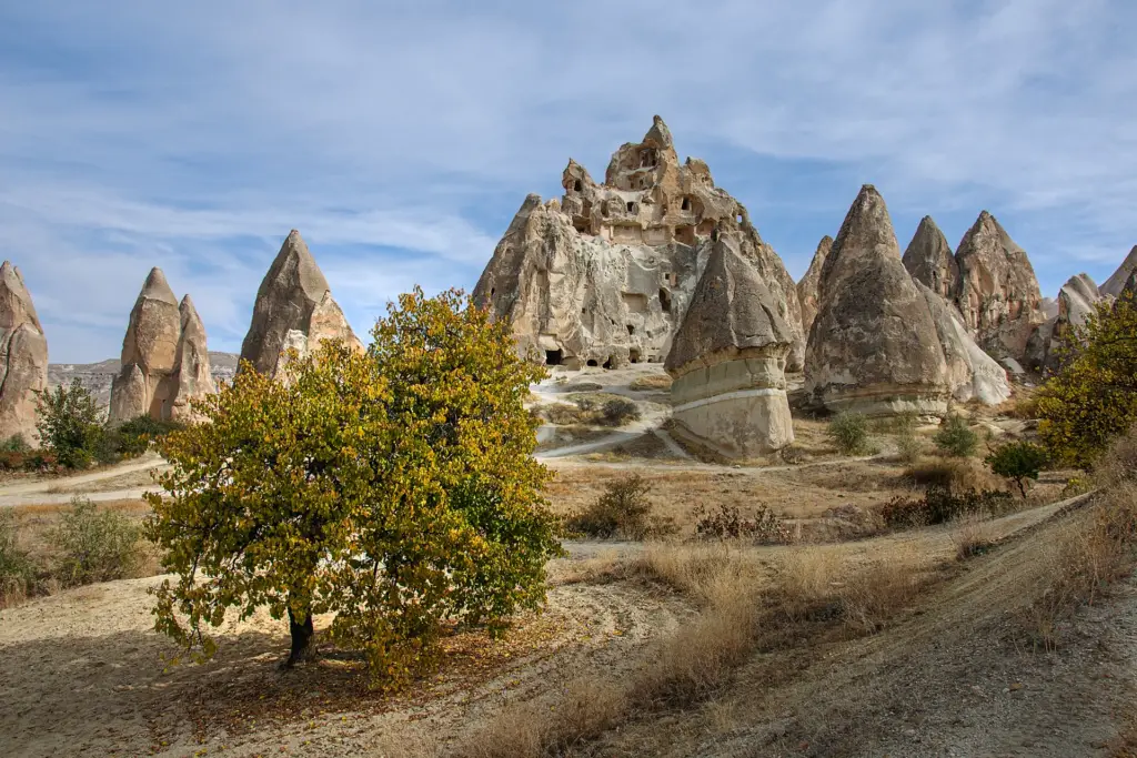 Fairy chimneys and an autumn tree beside a level valley path, Cappadocia, Turkey