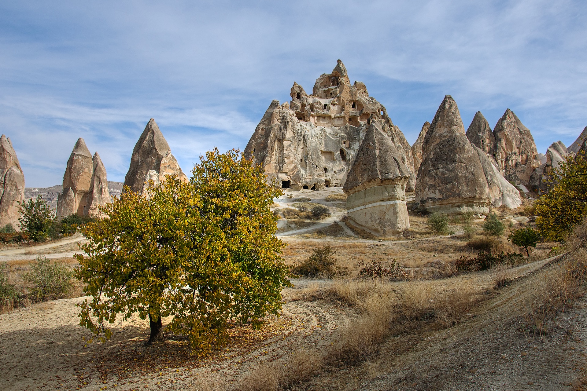 Fairy chimneys and an autumn tree in Rose Valley, Cappadocia