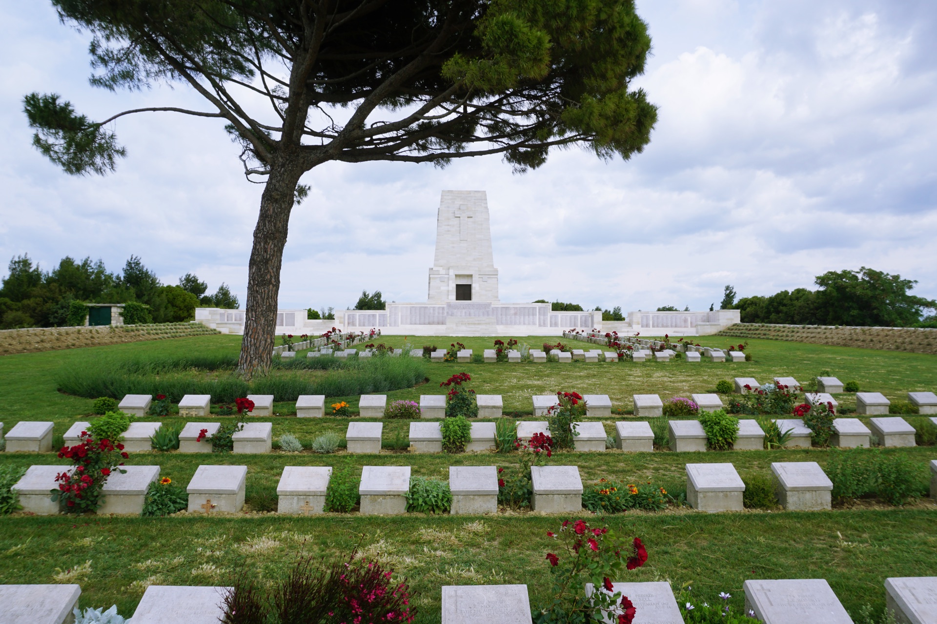 Rows of headstones under a pine tree at an Anzac cemetery, Gallipoli