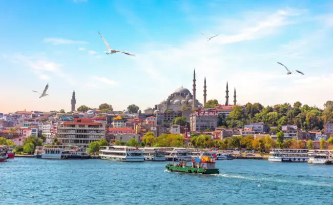 Istanbul skyline with historic mosques